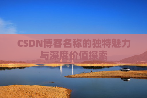 CSDN博客名称的独特魅力与深度价值探索